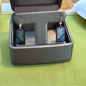 Blue Butterfly Rectangular Earrings